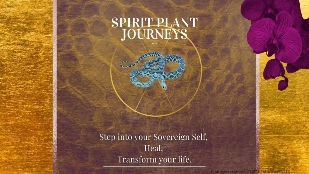 spirit plant journeys